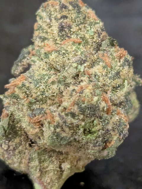 Lemon Skunk THCA Flower