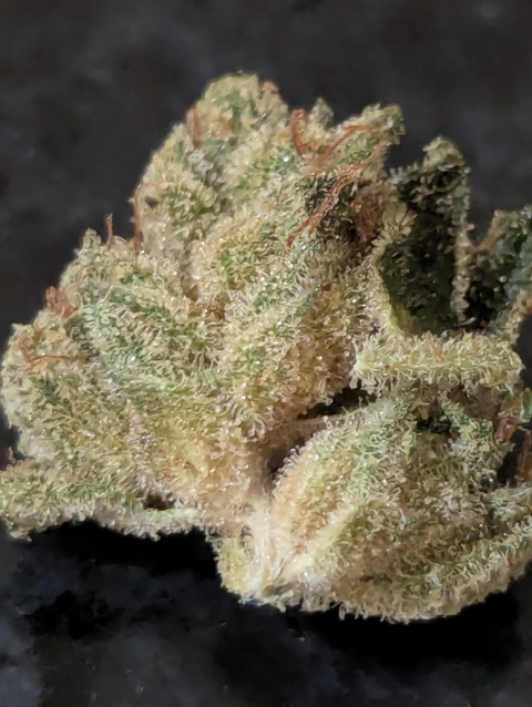 Wedding Cake, Indoor THCA Flower for Sale
