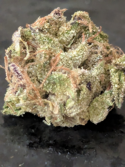 G-13 x Hash Plant THCA Flower