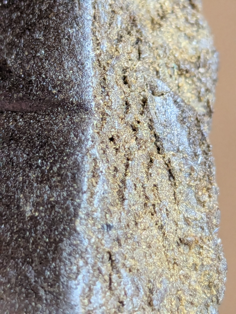 Afghan Gold THCA Hash at Texas Hash Bar